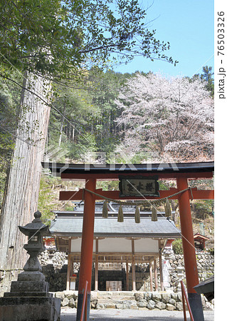 万葉の気配を感じる『桜木神社』 76503326