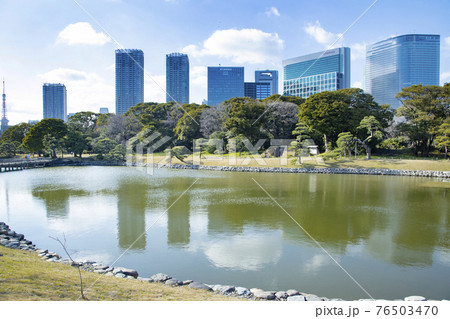 浜離宮恩賜庭園　潮入の池 76503470