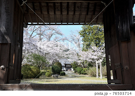 世尊寺 山門 (奈良県吉野郡大淀町比曽) 世尊寺 山門 (奈良県吉野郡大淀町比曽) 76503714