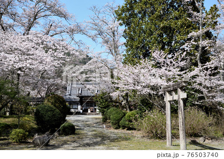 世尊寺 　(奈良県吉野郡大淀町比曽) 76503740
