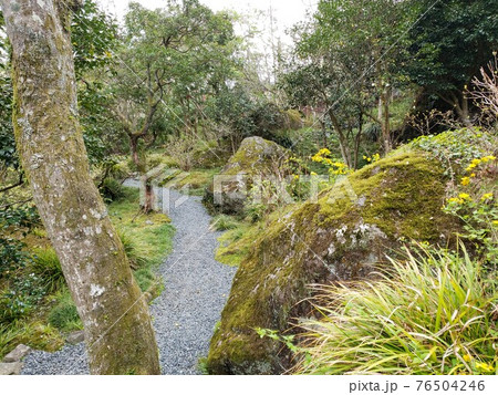 日本のわびさびを感じられる苔が美しい日本式庭園です。 76504246
