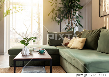 Relaxing time at comfort green interior loft house, vase with zamioculcas Relaxing time at comfort green interior loft house, vase with zamioculcas 76504344
