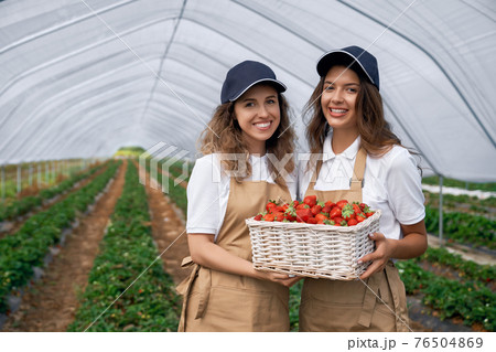 Two women are holding basket of strawberries. Two women are holding basket of strawberries. 76504869