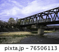 鴨川を渡る鉄橋を走る列車と咲く桜 76506113
