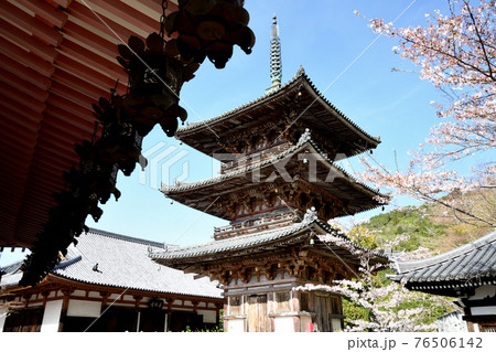 壷阪寺 三重塔 壷阪寺 三重塔 76506142