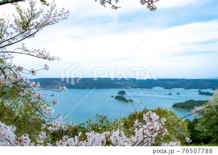 福島町　大山公園の桜　長崎県　松浦市 76507788