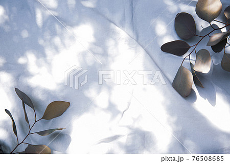 白のファブリックに置かれたドライフラワーのフレーム 白のファブリックに置かれたドライフラワーのフレーム 76508685