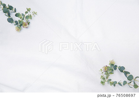 白のファブリックに置かれたドライフラワーのフレーム 76508697