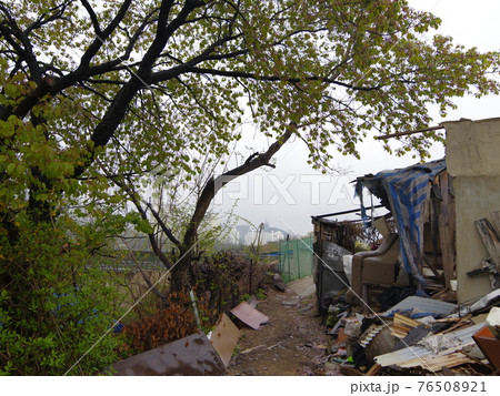 春 スポット 花 76508921