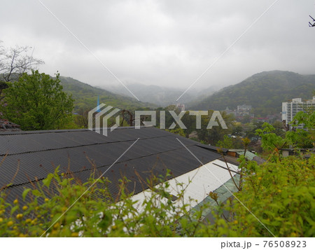 春 スポット 花 76508923