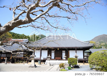 當麻寺　奥院本堂 76509607