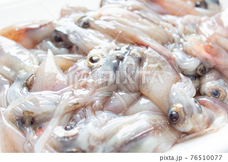 生のホタルイカのアップ 76510077