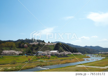 満開の桜が快晴の青空に映える春の公園の風景 … 島根県 安来市（快晴） 76510172