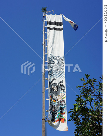 青空にはためく武者絵のぼり 端午の節句 (世田谷区立次大夫堀公園) 青空にはためく武者絵のぼり 端午の節句 (世田谷区立次大夫堀公園) 76511051