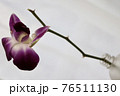 一輪挿し 76511130