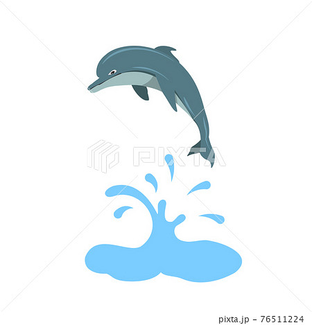 Dolphin Vector Design Stock Illustration
