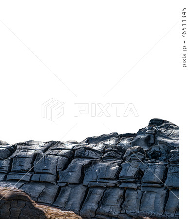Burnt tree trunk detailed view against white background Burnt tree trunk detailed view against white background 76511345