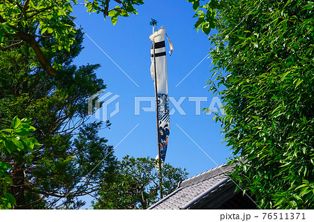 青空にはためく武者絵のぼり 端午の節句　（世田谷区立次大夫堀公園） 76511371