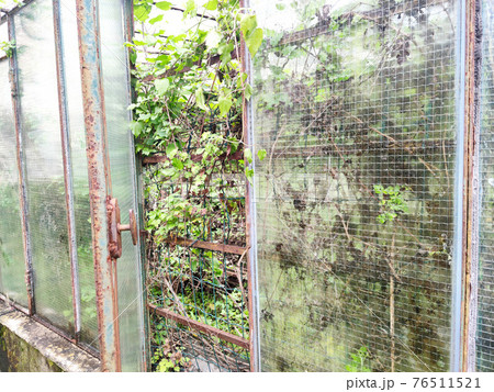 old abandoned greenhouse broken windows 76511521