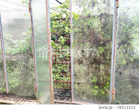 old abandoned greenhouse broken windows 76511522