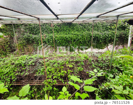 old abandoned greenhouse broken windows 76511526