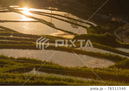 奈良県明日香村細川の夕刻の棚田を撮影 76511540