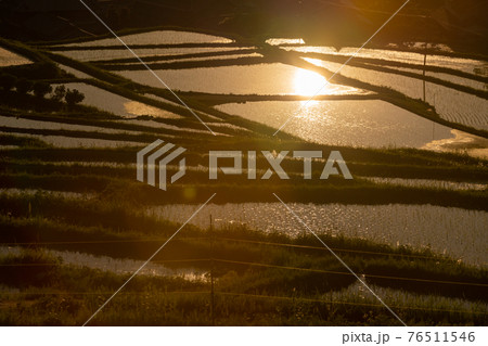 奈良県明日香村細川の夕刻の棚田を撮影 奈良県明日香村細川の夕刻の棚田を撮影 76511546