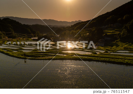 奈良県明日香村細川の夕刻の棚田を撮影 76511547