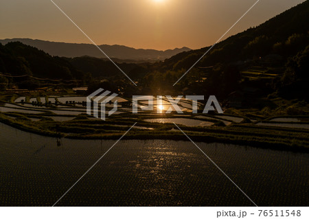 奈良県明日香村細川の夕刻の棚田を撮影 奈良県明日香村細川の夕刻の棚田を撮影 76511548