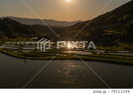 奈良県明日香村細川の夕刻の棚田を撮影 奈良県明日香村細川の夕刻の棚田を撮影 76511549