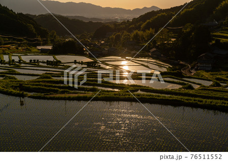 奈良県明日香村細川の夕刻の棚田を撮影 76511552