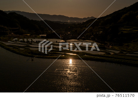 奈良県明日香村細川の夕刻の棚田を撮影 奈良県明日香村細川の夕刻の棚田を撮影 76511570