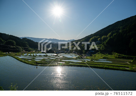 奈良県明日香村細川の夕刻の棚田を撮影 76511572