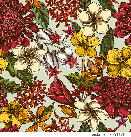 Seamless pattern with hand drawn colored plumeria, allamanda, clerodendrum, champak, etlingera 76511705