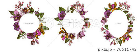 Floral frames with colored laelia, feijoa flowers, glory bush, papilio torquatus, cinchona, cattleya 76511745