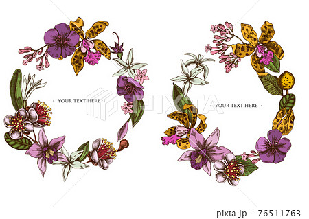 Floral Wreath of colored laelia, feijoa flowers, glory bush, papilio torquatus, cinchona, cattleya Floral Wreath of colored laelia, feijoa flowers, glory bush, papilio torquatus, cinchona, cattleya 76511763