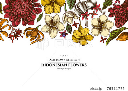 Floral design with colored plumeria, allamanda, clerodendrum, champak, etlingera, ixora Floral design with colored plumeria, allamanda, clerodendrum, champak, etlingera, ixora 76511775