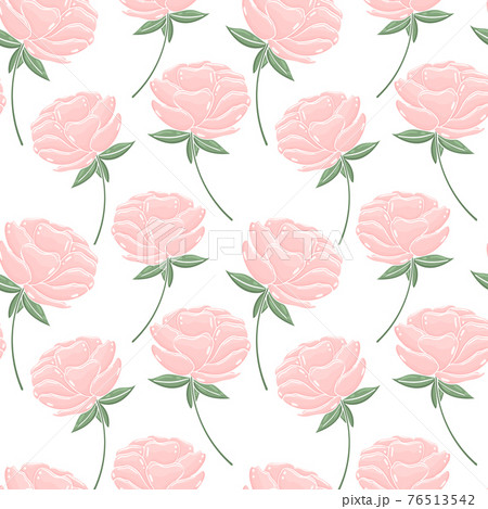 Seamless background with pink peonies. Large garden flowers in a chaotic manner. Background, template for the design of postcards, packaging.Vector. 76513542