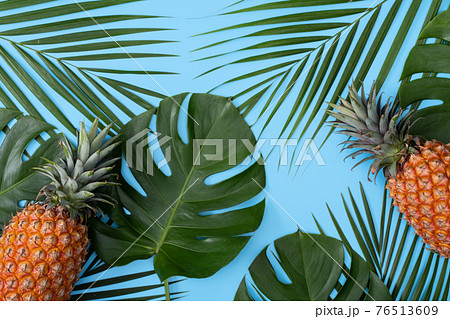 パイナップル パイン パインアップル 76513609