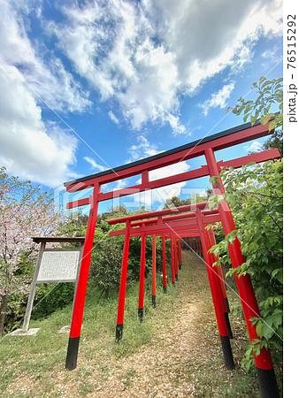 稲葉根社 日本最古の稲荷跡 和歌山県有田市糸我峠付近 稲葉根社 日本最古の稲荷跡 和歌山県有田市糸我峠付近 76515292