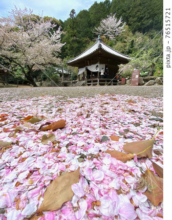 春の施無畏寺 和歌山県有田郡湯浅町栖原 春の施無畏寺 和歌山県有田郡湯浅町栖原 76515721