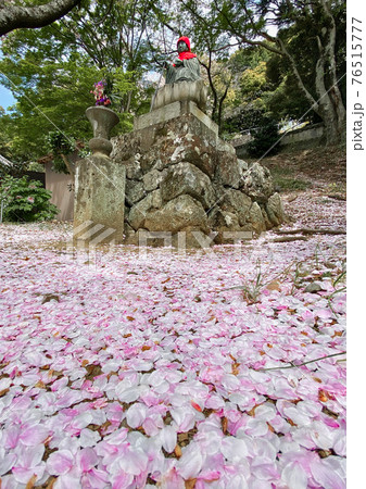 春の施無畏寺 和歌山県有田郡湯浅町栖原 春の施無畏寺 和歌山県有田郡湯浅町栖原 76515777