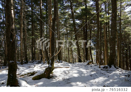 池口岳登山道 池口岳登山道 76516332