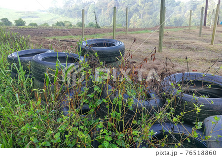 Abandoned tyre traps rain water, ground for mosquito breeding leading to dengue, malaria infected fever Abandoned tyre traps rain water, ground for mosquito breeding leading to dengue, malaria infected fever 76518860