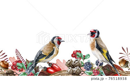 Autumn floral seamless border. Two goldfinch birds on endless flower decoration. Harvest seasonal seamless border. Wild forest finch birds. Rustic decor with red berries, acorn and blackberries Autumn floral seamless border. Two goldfinch birds on endless flower decoration. Harvest seasonal seamless border. Wild forest finch birds. Rustic decor with red berries, acorn and blackberries 76518938