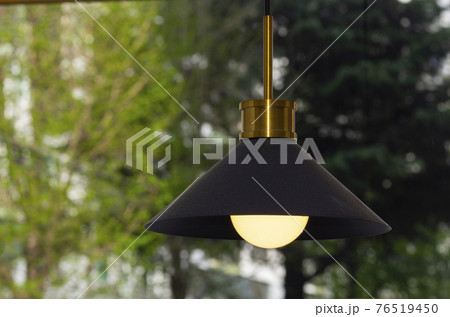 光 樹木 火 76519450