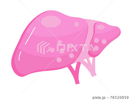 Liver flat icon vector for website and mobile website development, apps are presented. Viral hepatitis A, B, C, D is symbol, cirrhosis icon. World hepatitis day Liver flat icon vector for website and mobile website development, apps are presented. Viral hepatitis A, B, C, D is symbol, cirrhosis icon. World hepatitis day 76520059