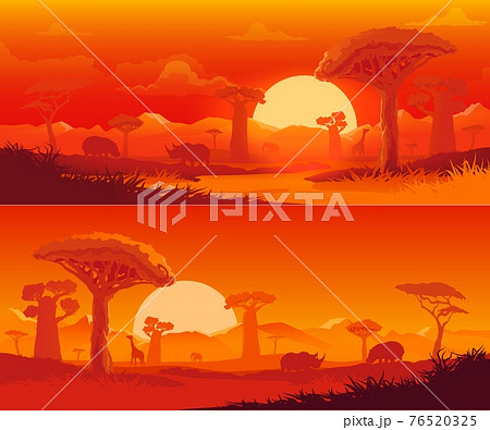 African savanna nature landscape at sunset 76520325