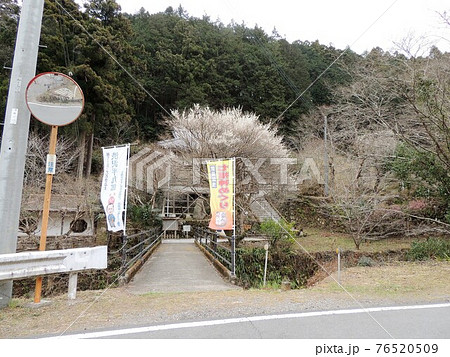 全洞院 76520509