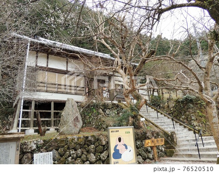 全洞院 全洞院 76520510